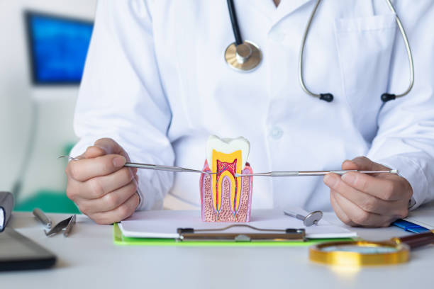 Best Emergency Dental Care for Broken or Chipped Teeth in Choccolocco, AL